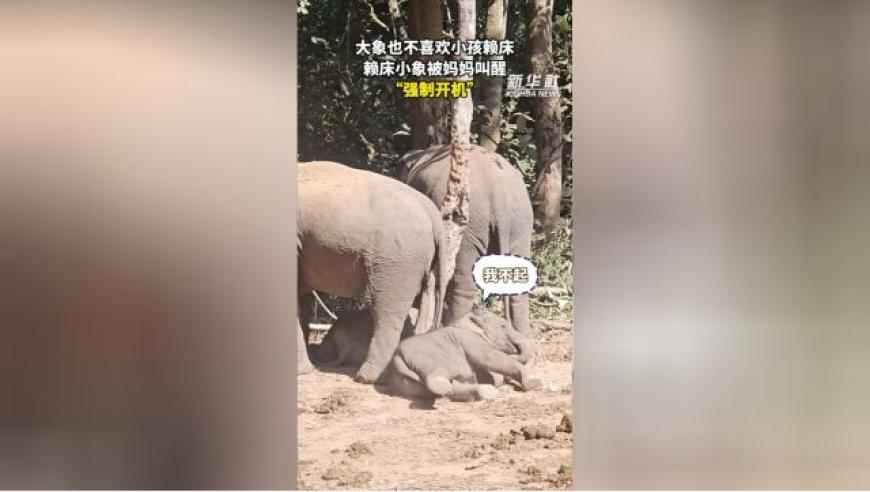 金价疯涨 有人跨城排队1.5小时买金,澳门马会传真-澳门,重点解答解释落实_移动版V1.7
