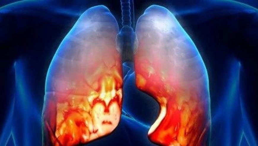 汽车销售经历“最忙一天”,澳门今晚必开一肖一特,广泛的解释落实支持计划_探索版V13.65